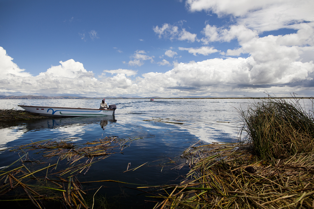 Survival in Titikaka lake